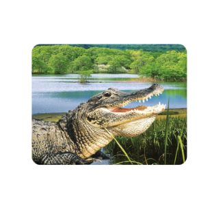Obrázek z Magnet 3D 7x9cm - krokodýl (25) 